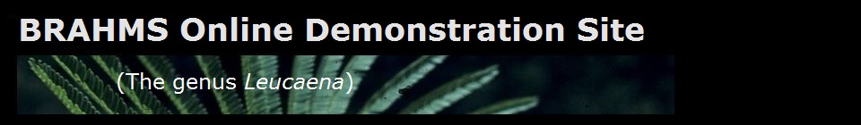 banner.jpg